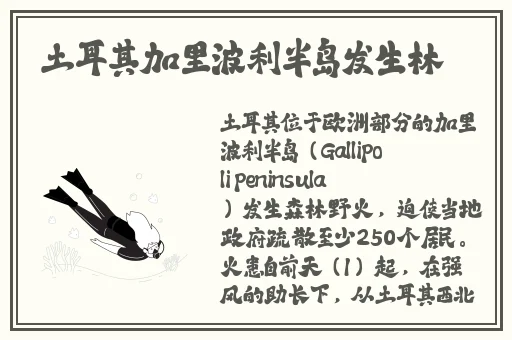 花液花壶满白灼